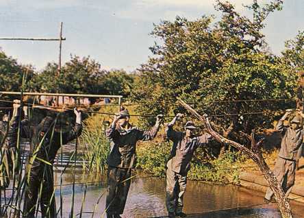 Basic Training