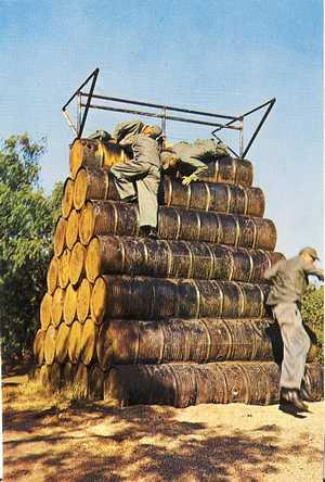 Basic Training