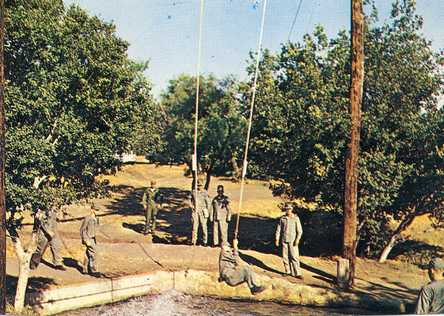 Basic Training