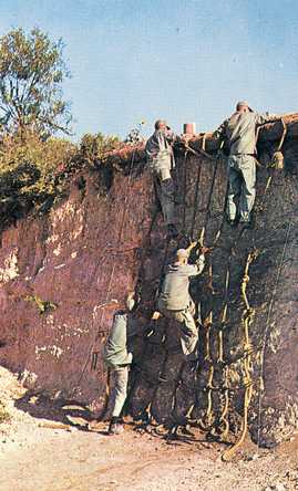 Basic Training