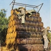 Basic Training