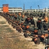 Basic Training