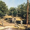 Basic Training