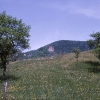 Falkenstein