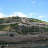 Ehrenfels