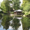 Japanese Garden