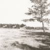 Site I